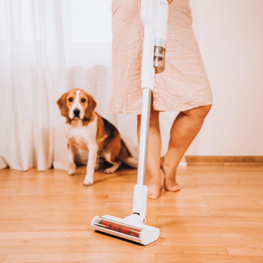 Odkurzacz bezprzewodowy, który skradł moje serducho